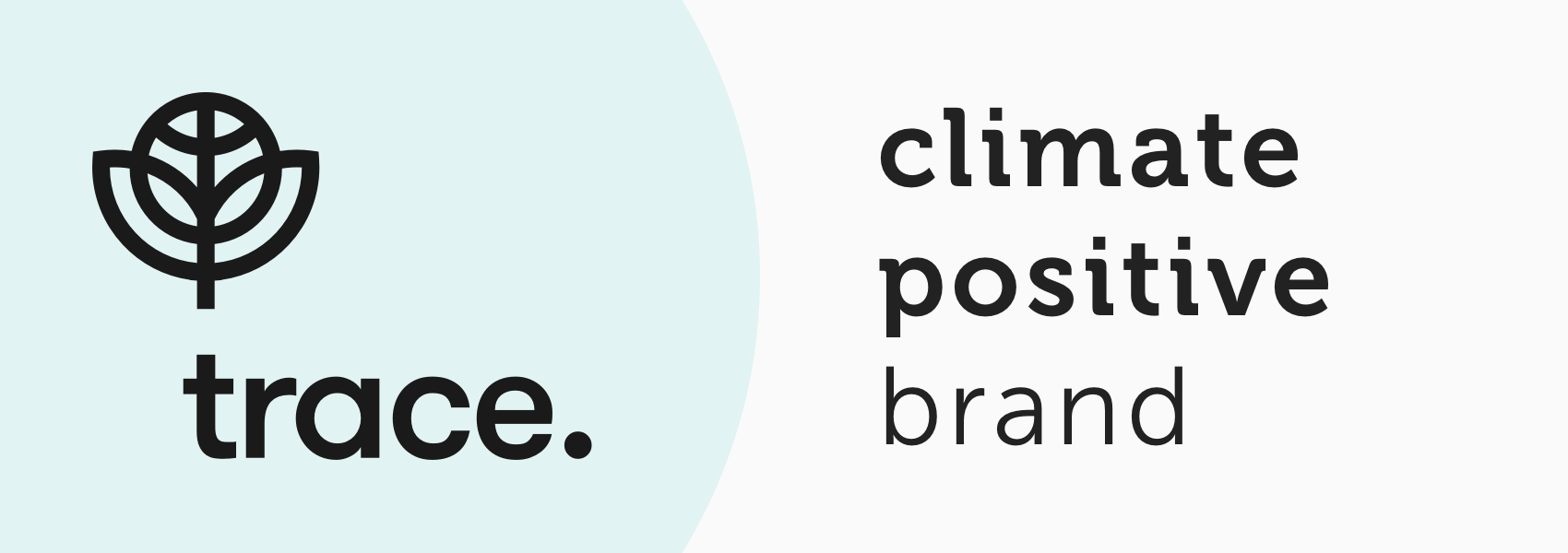 EV climate positive