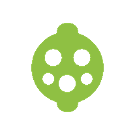 Type 1 plug