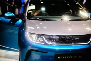 byd dolphin common issues Medium